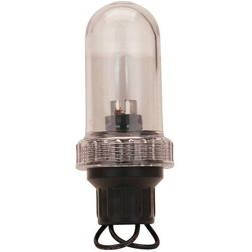 General Purpose Light,3/4" IPT Base-Clear - GhillieSuitShop